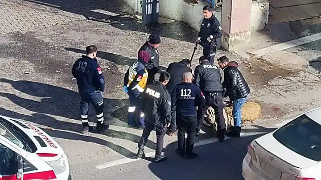 Koyunları ölen adam kendini yakmaya çalıştı
