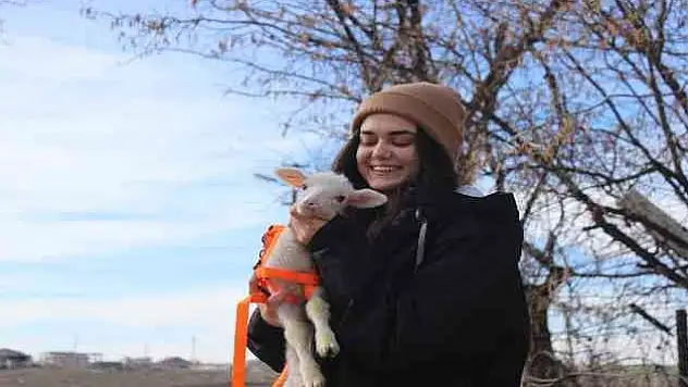 Koyunun kuzusuna yapmadığı anneliği sahibi yaptı