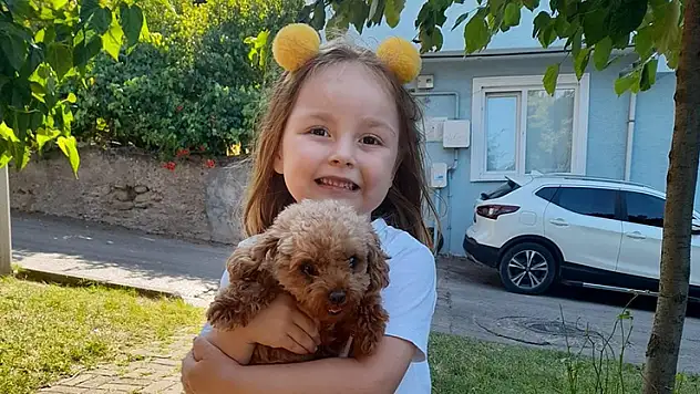 Kreşteki ihmaller 4 yaşındaki Berra'yı ölüme götürdü