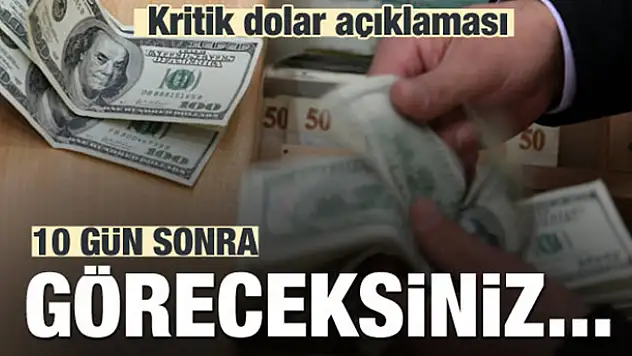 Kritk dolar açıklaması: 10 gün sonra göreceksiniz