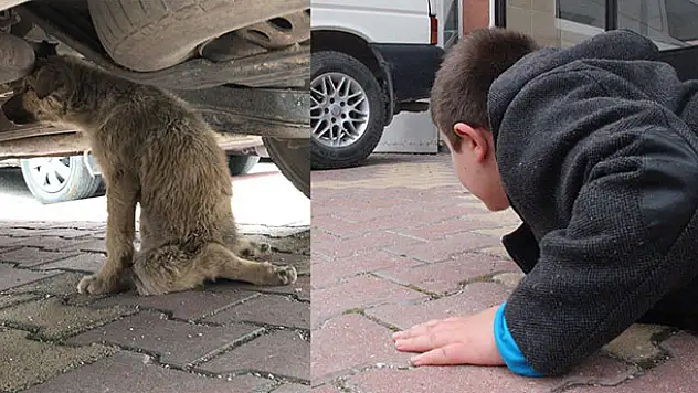 Küçük çocuk yaralı köpeğin başından 1 saat ayrılmadı