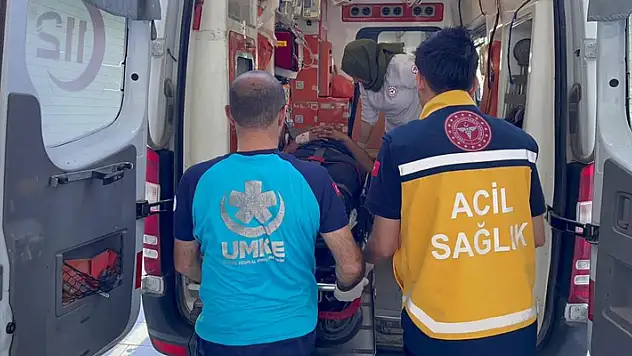 Küçükbaş kurbanlık yüklü tır devrildi: 2 yaralı
