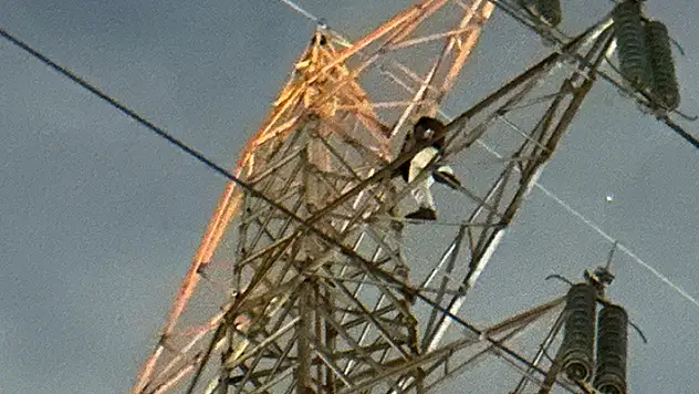 Küçükçekmece'de 50 metrelik elektrik direğine çıkan kişi, kendini ihbar etti

