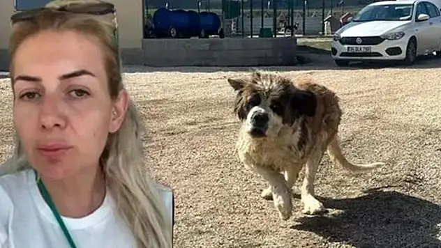 Kuduz köpekleri Ankara'ya getirdiği iddiasıyla tutuklanan Buket Özgünlü Boyacı'ya tahliye
