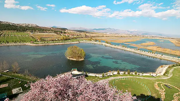 Kuğulu Milli Parkı'nda sadece kuğular sessizliği bozuyor