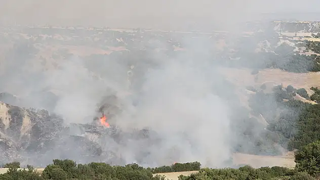 Kula'da arazide çıkan yangın ormanı yaktı 10 hektar alan küle döndü
