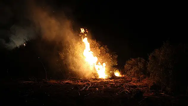Kula'da çıkan makilik alan yangını söndürüldü

