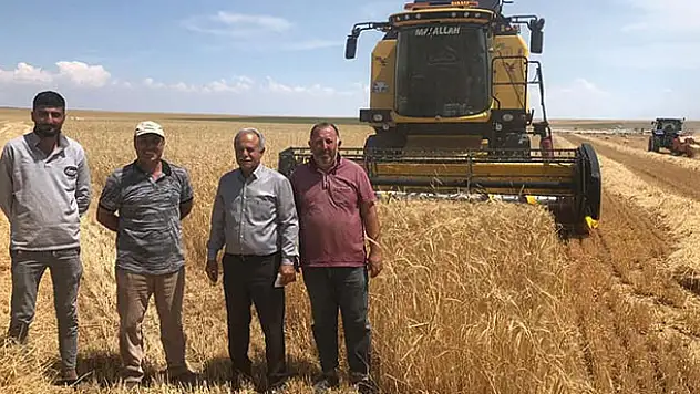 Kulu'da arpa hasadı başladı