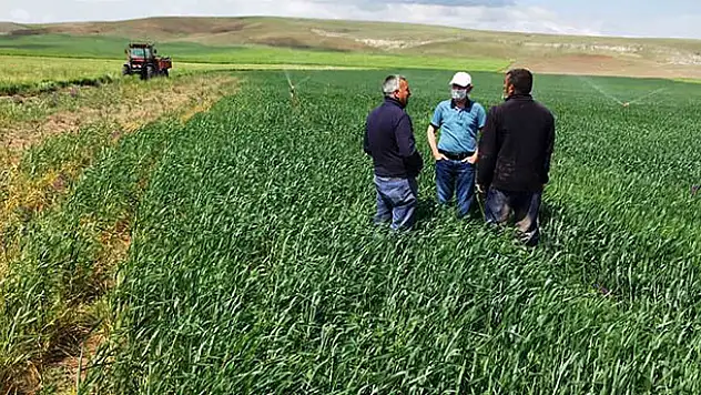 Kulu'da cüce virüs hastalığı şüphesi