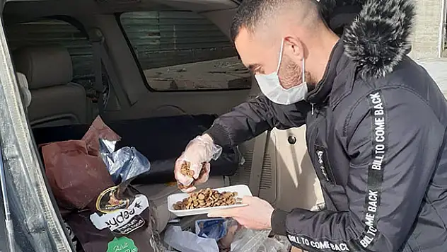 Kulu'da fedakar üniversiteli sokak hayvanlarını besliyor