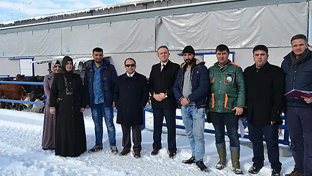 Kulu'da genç çiftçilere düve dağıtımı
