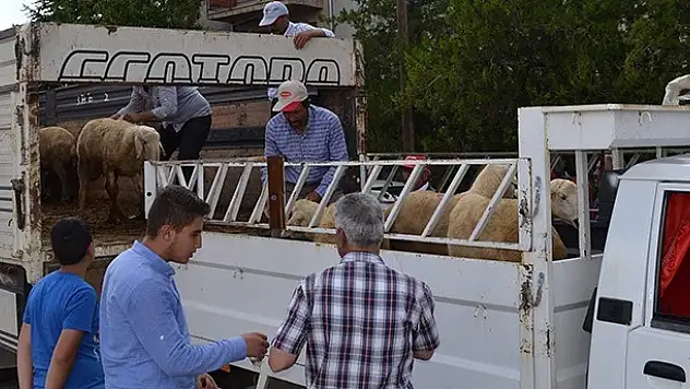 Kulu'da Hibe Destekli 47 Koç Dağıtıldı