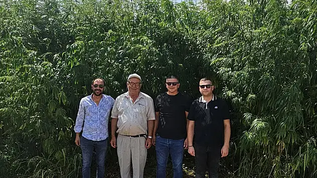 Kulu'da kenevir ekimi yapılacak

