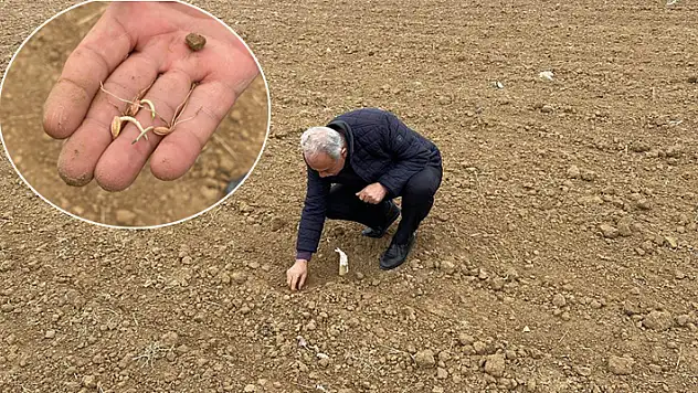Kulu'da kuraklık nedeniyle çiftçiler zor günler yaşıyor
