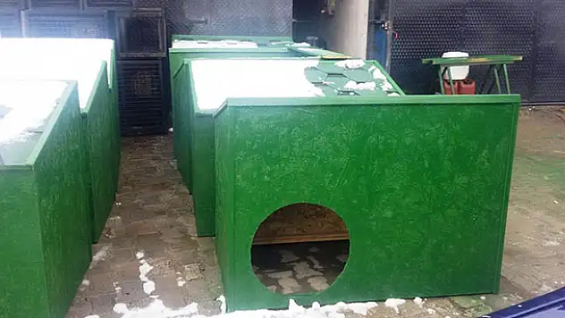 Kulu'da sokak hayvanları için barınak