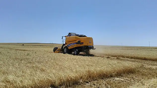 Kulu'da tarımsal mahsul hasadı başladı