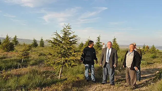 Kulu doğal hayatı koruma derneği'nden açıklama
