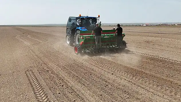 Kulu'da kenevir ekimi başladı