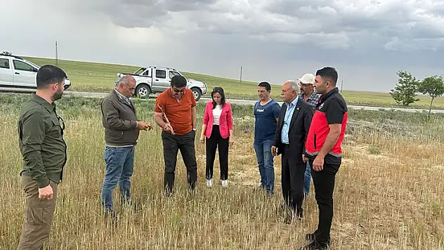 Kulu'da kıraç arazilerde hasat yapılamayacak