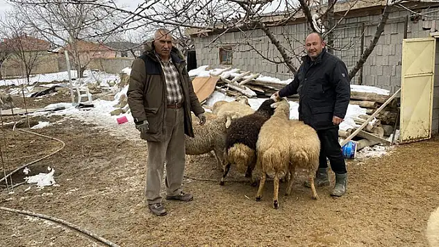 Kulu'da küçükbaş hayvan sahiplerinden depremzedeler yardım
