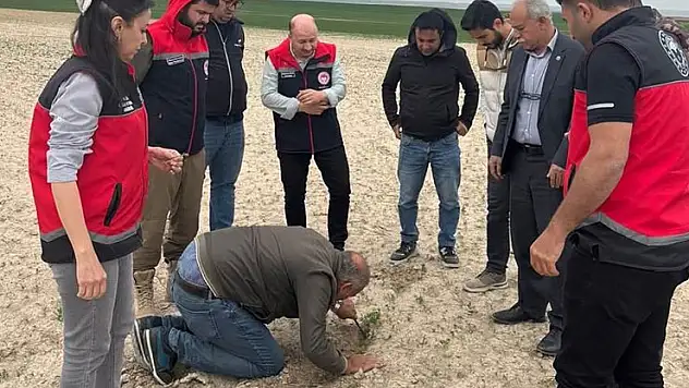 Kulu'da tarım alanlarında kontroller devam ediyor