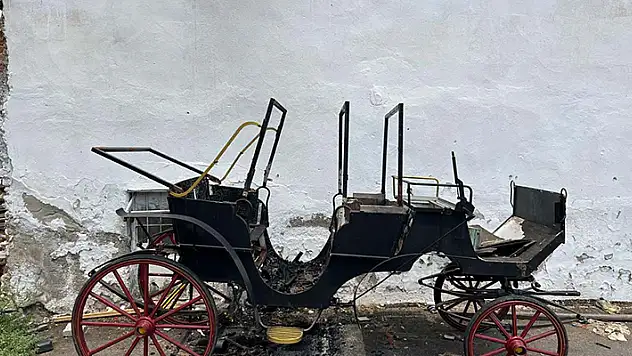 Kundaklanan faytonu söndürmek için dışarı çıkanlara ateş açıldı 1 ölü, 5 yaralı
