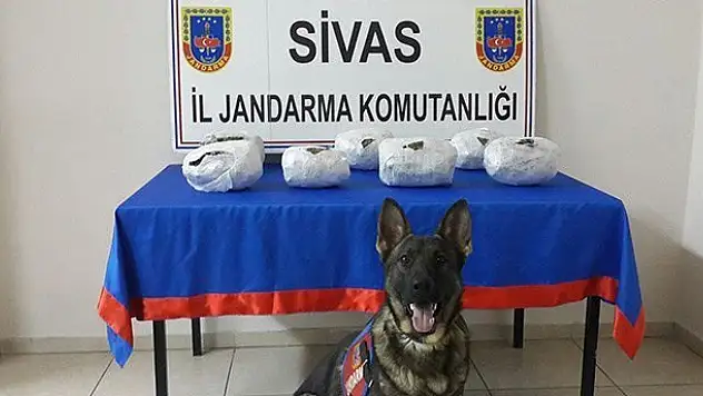 Küp şekerlerin arasından esrar çıktı