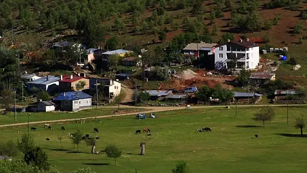Kuraklıktan Konya'daki yaylalar da nasibini aldı! Otlaklar kurumak üzere
