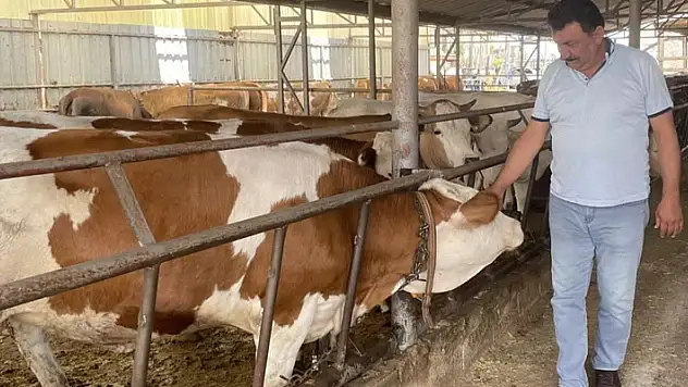 Kurban dolandırıcıları 6 yıl sonra yakalandı!