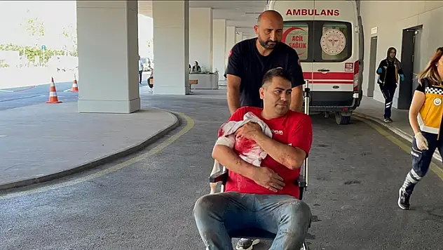 Kurban keserken yaşanan kazalar sebebiyle 29 bin 983 kişi tedavi gördü
