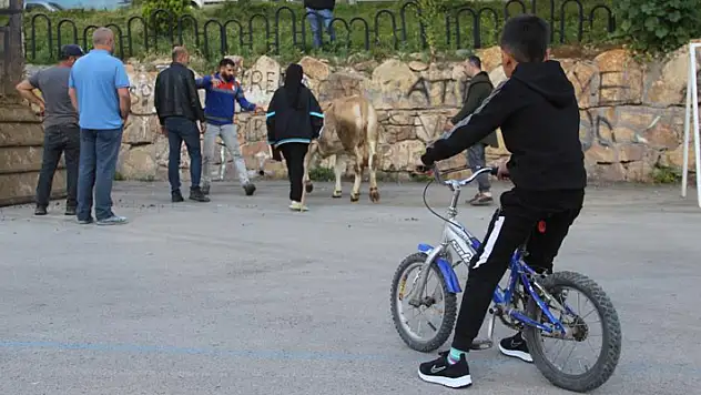 Kurban kesim alanları oyun parkına döndü
