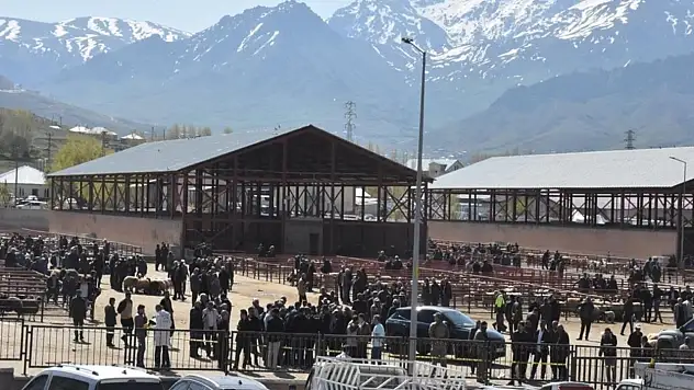 Kurban pazarı kana bulandı