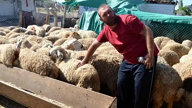 Kurbanlık fiyatları ne kadar? Kurbanlıklıklara zam geldi mi?