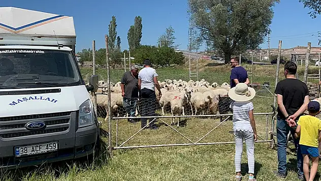 Kurbanlıkların satışından elde ettiği 535 bin TL çalındı