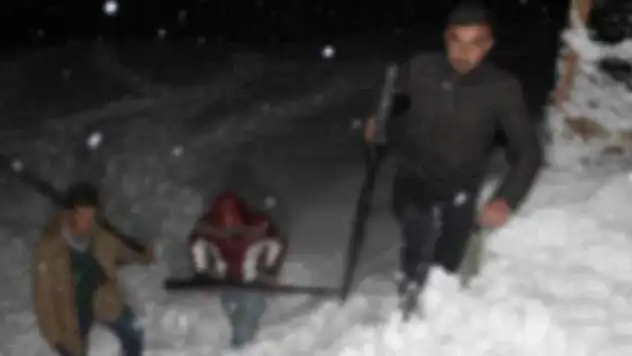 Kurtlar için nöbet tuttular