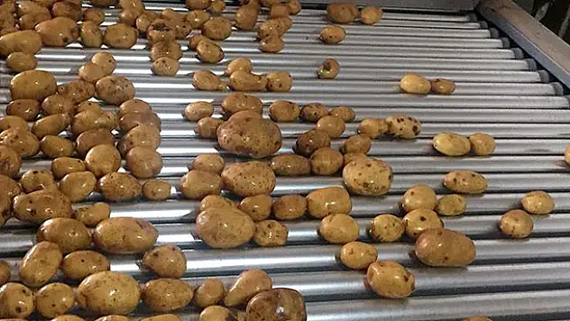 Kuru soğan ve patates ihracatı ön izne bağlandı
