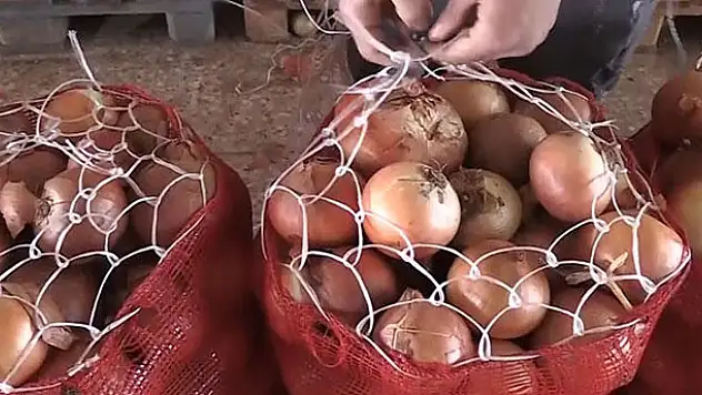 Kuru soğanda sıfır gümrük vergisinin süresi uzatıldı