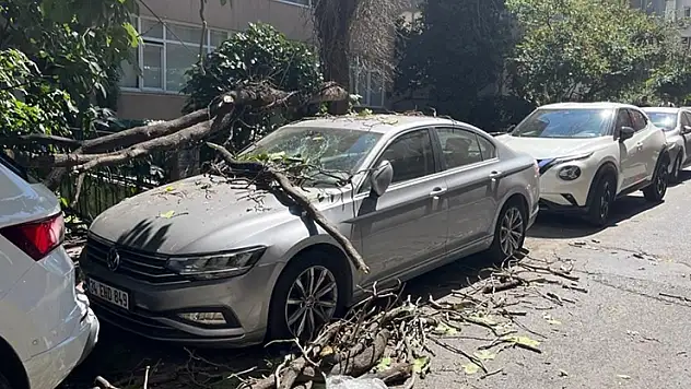 Kurumuş ağaç dalı aracın üzerine düştü: Vatandaş son anda kurtuldu