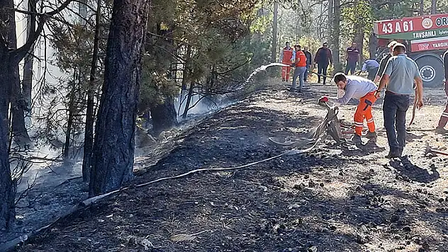 Kütahya'da anız yangını ormana sıçradı