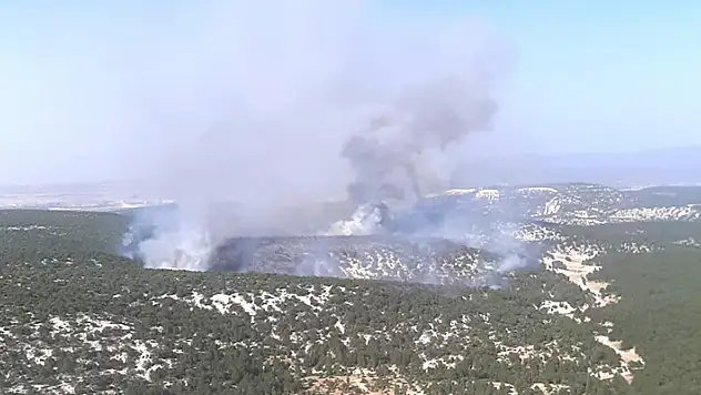 Kütahya'daki orman yangını kontrol altına alındı
