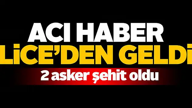 Lice'de 2 asker şehit