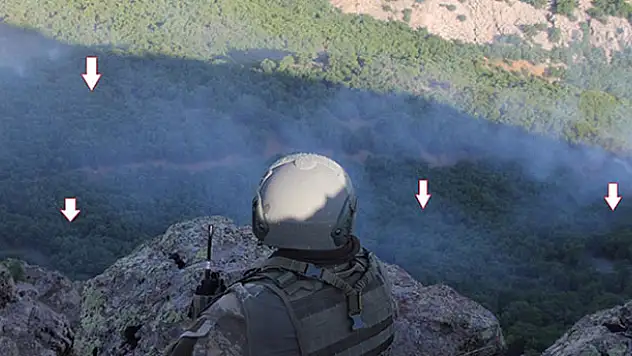 Lice operasyonu tamamlandı