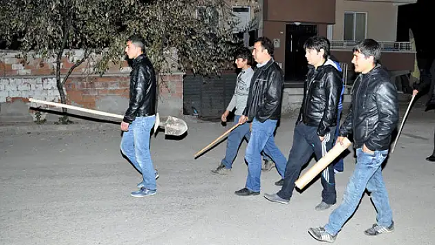 Mahalleli sopayla hırsız nöbeti tutuyor