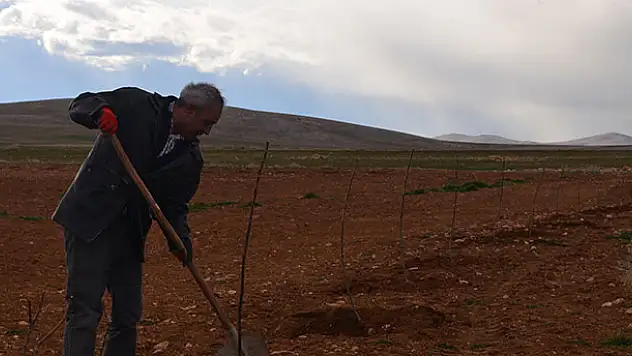 Mahallesine kurduğu bahçeyle örnek olacak