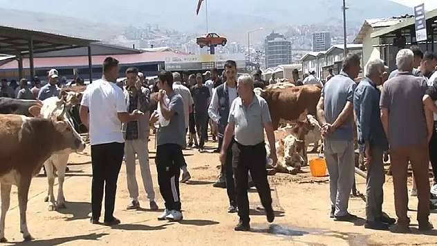 Malatya Canlı Hayvan Pazarı'nda bayram yoğunluğu