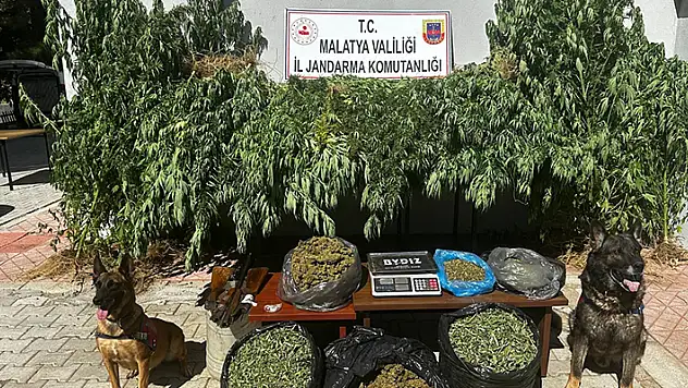 Malatya'da 11,5 kilogram kubar esrar ele geçirildi: 2 gözaltı
