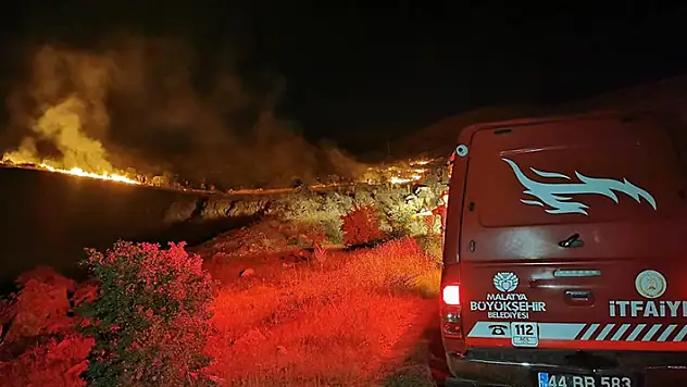 Malatya'da çıkan orman yangınına müdahale ediliyor
