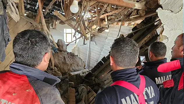 Malatya'da ağıl çöktü, göçük altında kalan 6 büyükbaş hayvanı itfaiye kurtardı
