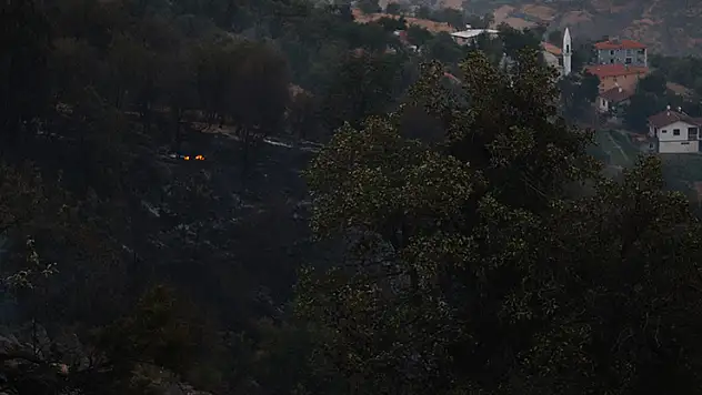 Malatya'da orman yangını