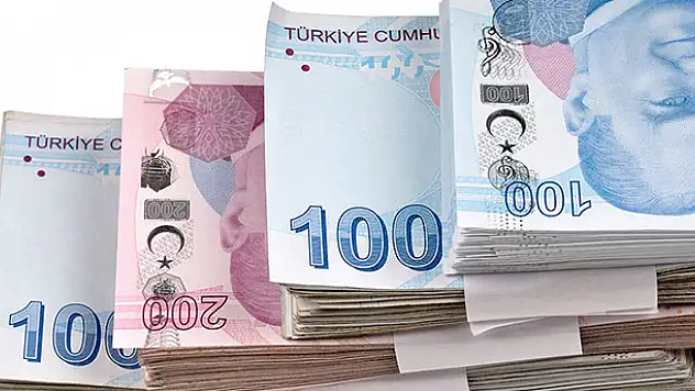 Maliye Bakanlığı vergi borçlularını ilan edecek
